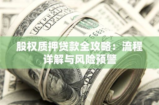武汉股权质押贷款全攻略：流程详解与风险预警