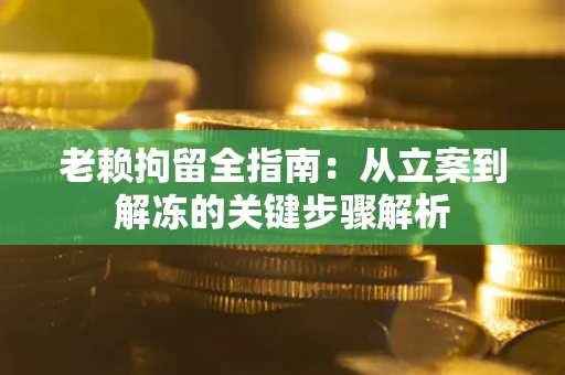 武汉老赖拘留全指南：从立案到解冻的关键步骤解析