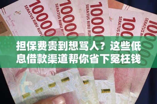 武汉担保费贵到想骂人？这些低息借款渠道帮你省下冤枉钱