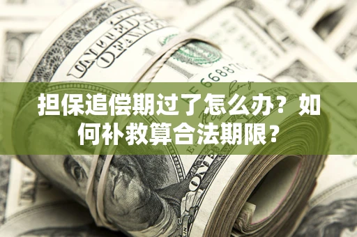 武汉担保追偿期过了怎么办？如何补救算合法期限？