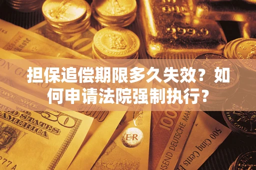 武汉担保追偿期限多久失效？如何申请法院强制执行？