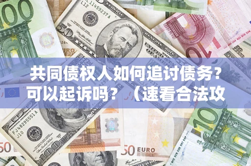 武汉共同债权人如何追讨债务？可以起诉吗？（速看合法攻略）