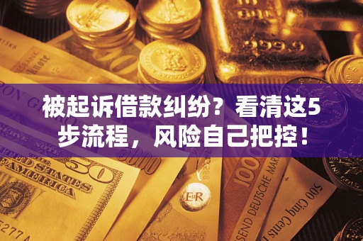 武汉被起诉借款纠纷？看清这5步流程，风险自己把控！